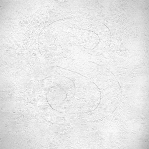 lettering tutorial — leaf script animation, arabesque scrollwork