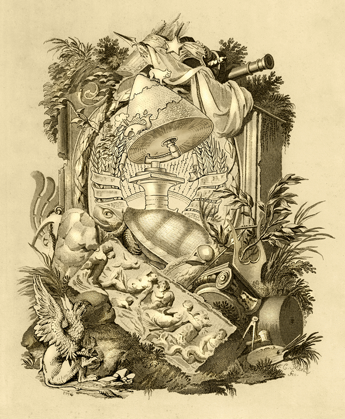 turtle illustration