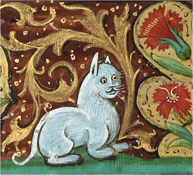кошки в средневековой книжной миниатюре