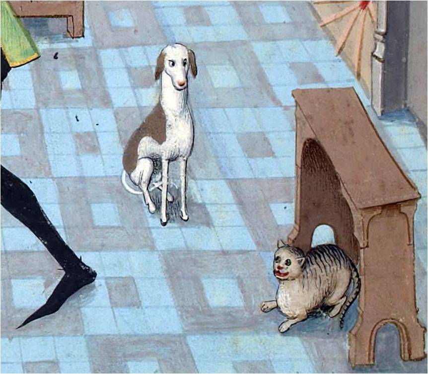 кошки в средневековой книжной миниатюре