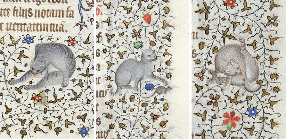 кошки в средневековой книжной миниатюре