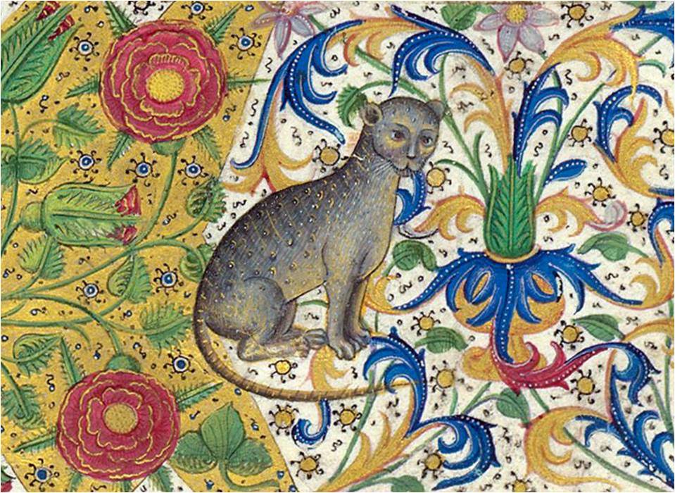кошки в средневековой книжной миниатюре