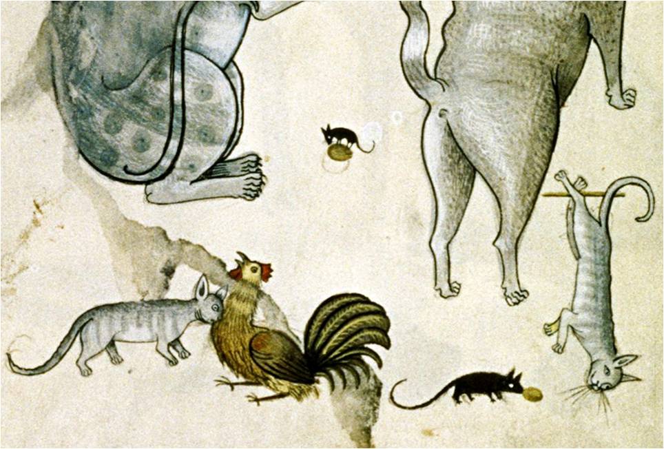кошки в средневековой книжной миниатюре
