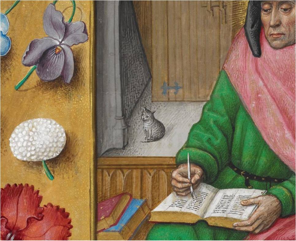 кошки в средневековой книжной миниатюре
